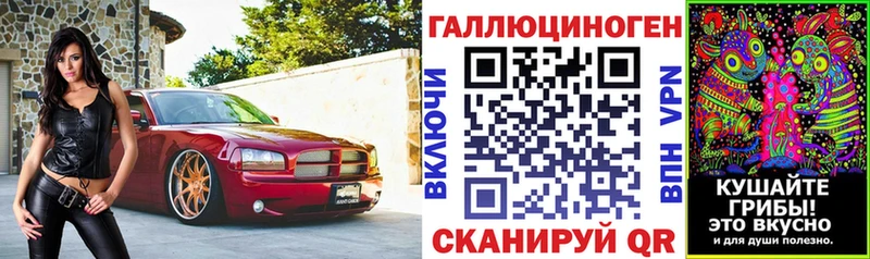 Купить  Чаплыгин  Псилоцибиновые грибы мицелий 